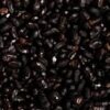peyote cactus seeds